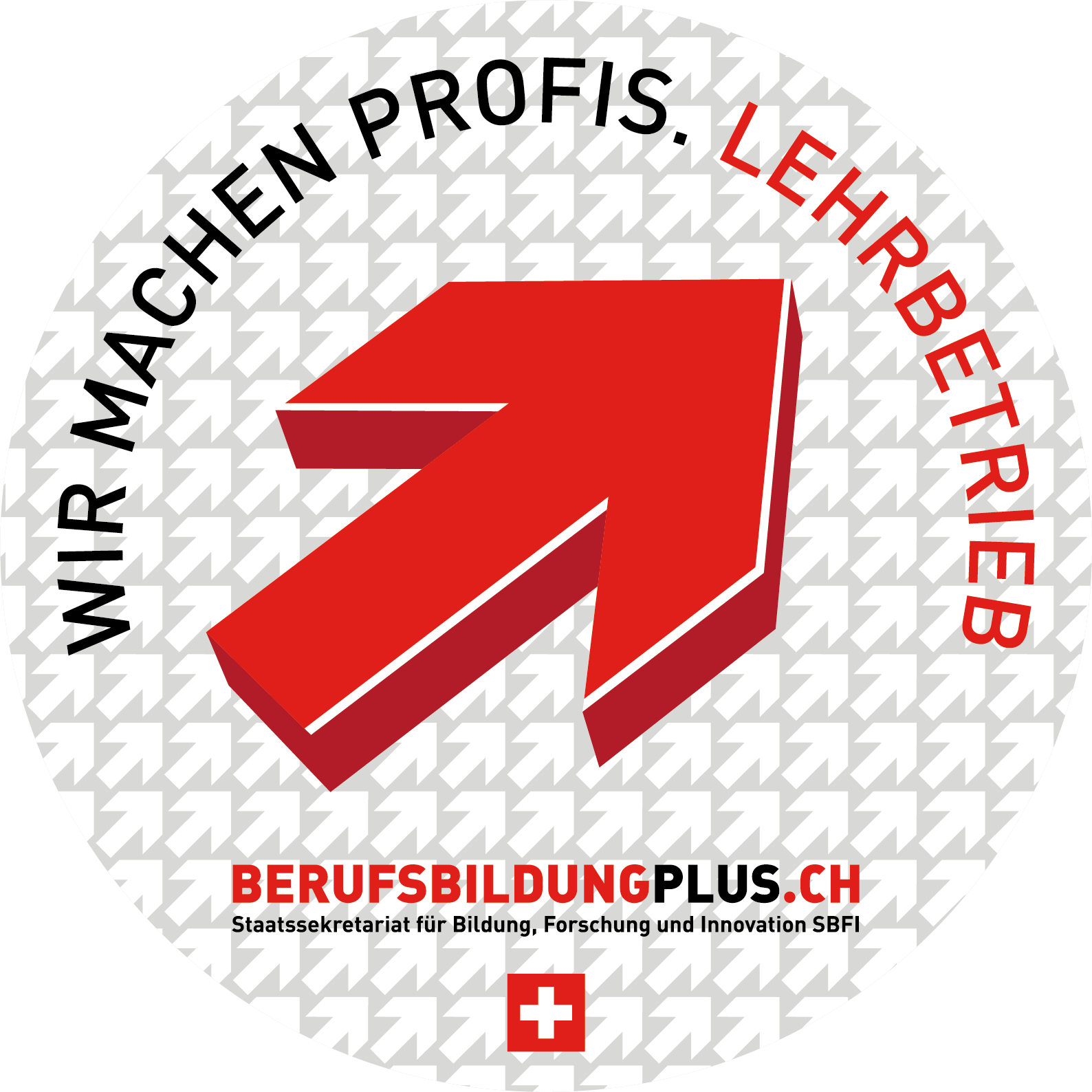 Berufsbildungplus